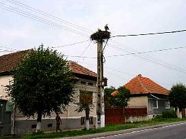 68.jpg