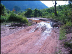 0212.JPG (94241 Byte)