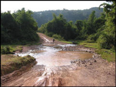 0215.JPG (83374 Byte)