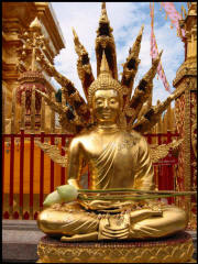 071.JPG (96772 Byte)