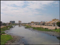 01284.JPG (41244 Byte)